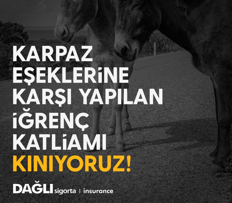 ﻿﻿﻿Karpaz eşeklerine yapılan çirkin katliamı şiddetle kınıyoruz! 